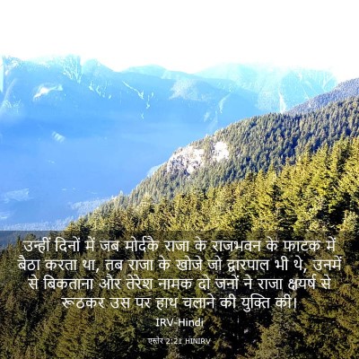 Picture 03 - एस्तेर 2:21 HINIRV - उन्हीं दिनों में - Bible Verse Picture