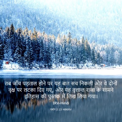 Picture 03 - एस्तेर 2:23 HINIRV - तब जाँच पड़ताल - Bible Verse Picture