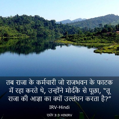 Picture 03 - एस्तेर 3:3 HINIRV - तब राजा के - Bible Verse Picture