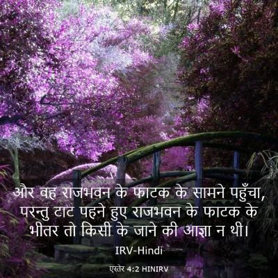 Picture 03 - एस्तेर 4:2 HINIRV - और वह राजभवन के - Bible Verse Picture