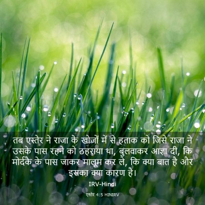 Picture 03 - एस्तेर 4:5 HINIRV - तब एस्तेर ने राजा - Bible Verse Picture