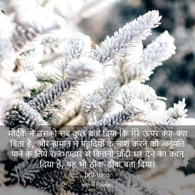 Picture 03 - एस्तेर 4:7 HINIRV - मोर्दकै ने उसको सब - Bible Verse Picture