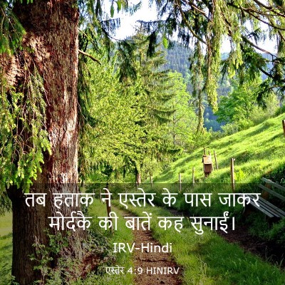 Picture 03 - एस्तेर 4:9 HINIRV - तब हताक ने एस्तेर - Bible Verse Picture