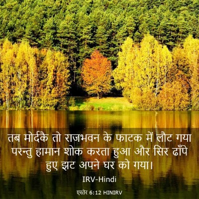 Picture 03 - एस्तेर 6:12 HINIRV - तब मोर्दकै तो - Bible Verse Picture