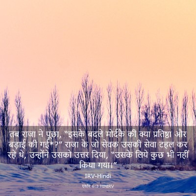 Picture 03 - एस्तेर 6:3 HINIRV - तब राजा ने पूछा, - Bible Verse Picture
