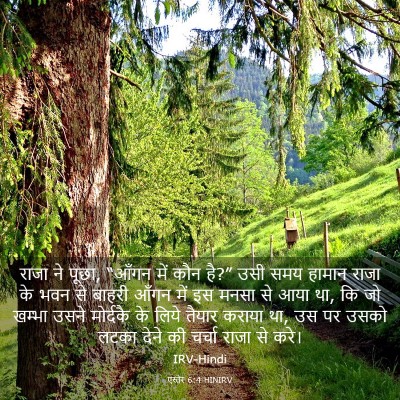 Picture 03 - एस्तेर 6:4 HINIRV - राजा ने पूछा, “आँगन - Bible Verse Picture