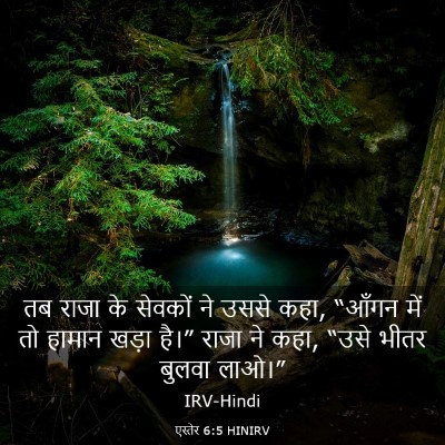 Picture 03 - एस्तेर 6:5 HINIRV - तब राजा के सेवकों - Bible Verse Picture