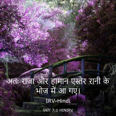 Picture 03 - एस्तेर 7:1 HINIRV - अतः राजा और हामान - Bible Verse Picture