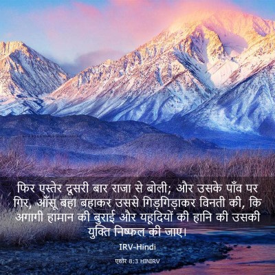 Picture 03 - एस्तेर 8:3 HINIRV - फिर एस्तेर दूसरी - Bible Verse Picture