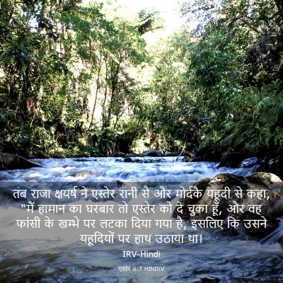 Picture 03 - एस्तेर 8:7 HINIRV - तब राजा क्षयर्ष ने - Bible Verse Picture