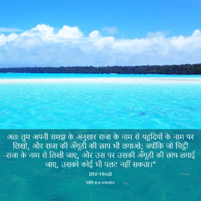 Picture 03 - एस्तेर 8:8 HINIRV - अतः तुम अपनी समझ के - Bible Verse Picture