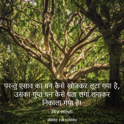 Picture 03 - ओबद्याह 1:6 HINIRV - परन्तु एसाव का धन - Bible Verse Picture