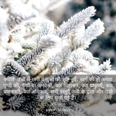 Picture 03 - कुलुस्सियों 1:16 HINIRV - क्योंकि उसी में - Bible Verse Picture
