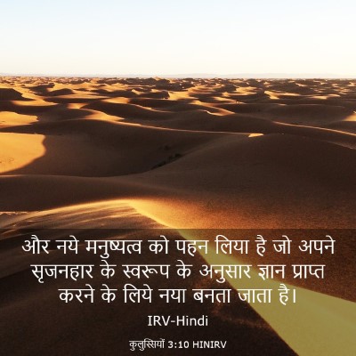 Picture 03 - कुलुस्सियों 3:10 HINIRV - और नये मनुष्यत्व - Bible Verse Picture