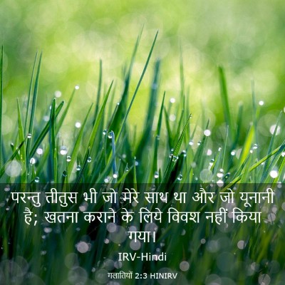 Picture 03 - गलातियों 2:3 HINIRV - परन्तु तीतुस भी जो - Bible Verse Picture