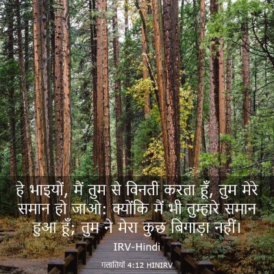 Picture 03 - गलातियों 4:12 HINIRV - हे भाइयों, मैं तुम - Bible Verse Picture