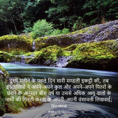 Picture 03 - गिनती 1:18 HINIRV - दूसरे महीने के - Bible Verse Picture