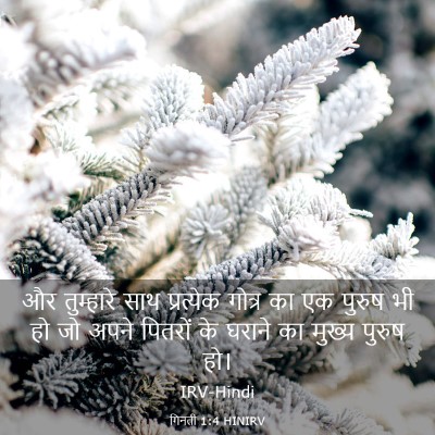 Picture 03 - गिनती 1:4 HINIRV - और तुम्हारे साथ - Bible Verse Picture