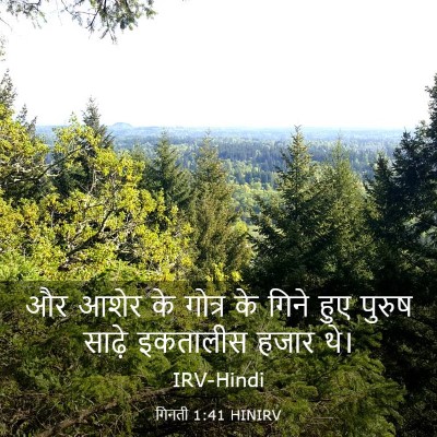 Picture 03 - गिनती 1:41 HINIRV - और आशेर के गोत्र के - Bible Verse Picture