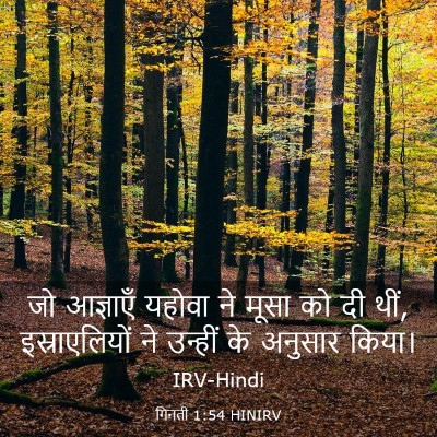 Picture 03 - गिनती 1:54 HINIRV - जो आज्ञाएँ यहोवा - Bible Verse Picture
