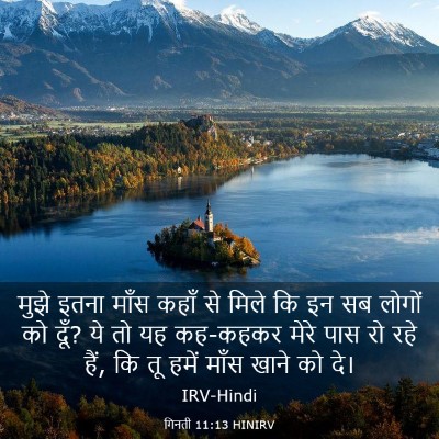 Picture 03 - गिनती 11:13 HINIRV - मुझे इतना माँस - Bible Verse Picture
