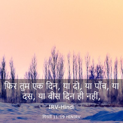Picture 03 - गिनती 11:19 HINIRV - फिर तुम एक दिन, या - Bible Verse Picture