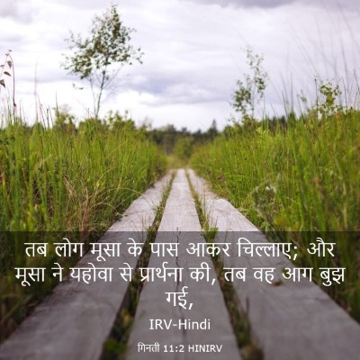 Picture 03 - गिनती 11:2 HINIRV - तब लोग मूसा के पास - Bible Verse Picture