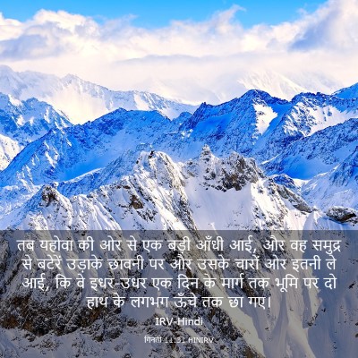 Picture 03 - गिनती 11:31 HINIRV - तब यहोवा की ओर से - Bible Verse Picture