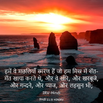 Picture 03 - गिनती 11:5 HINIRV - हमें वे मछलियाँ - Bible Verse Picture