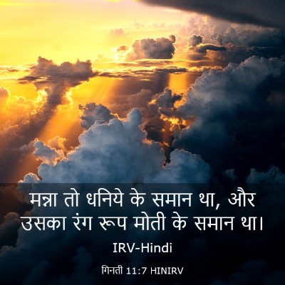 Picture 03 - गिनती 11:7 HINIRV - मन्ना तो धनिये के - Bible Verse Picture