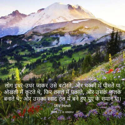 Picture 03 - गिनती 11:8 HINIRV - लोग इधर-उधर जाकर - Bible Verse Picture