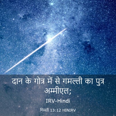 Picture 03 - गिनती 13:12 HINIRV - दान के गोत्र में से - Bible Verse Picture
