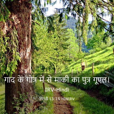 Picture 03 - गिनती 13:15 HINIRV - गाद के गोत्र में से - Bible Verse Picture