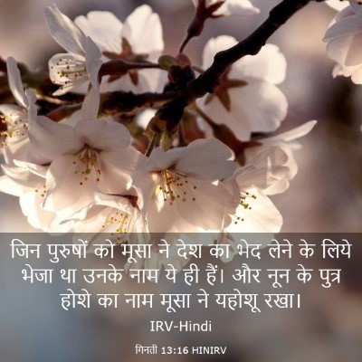 Picture 03 - गिनती 13:16 HINIRV - जिन पुरुषों को - Bible Verse Picture