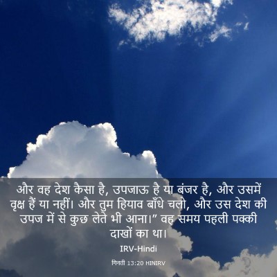 Picture 03 - गिनती 13:20 HINIRV - और वह देश कैसा है, - Bible Verse Picture