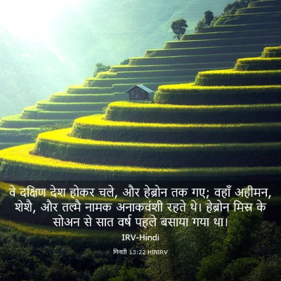 Picture 03 - गिनती 13:22 HINIRV - वे दक्षिण देश होकर - Bible Verse Picture
