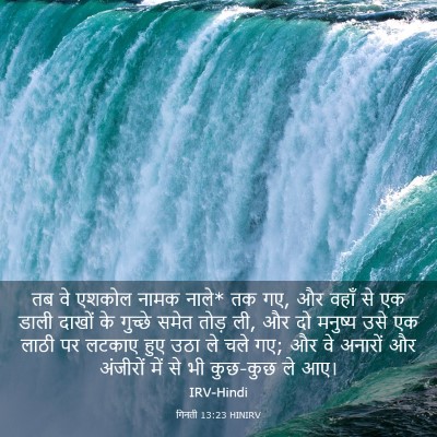Picture 03 - गिनती 13:23 HINIRV - तब वे एशकोल नामक - Bible Verse Picture