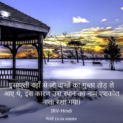 Picture 03 - गिनती 13:24 HINIRV - इस्राएली वहाँ से - Bible Verse Picture