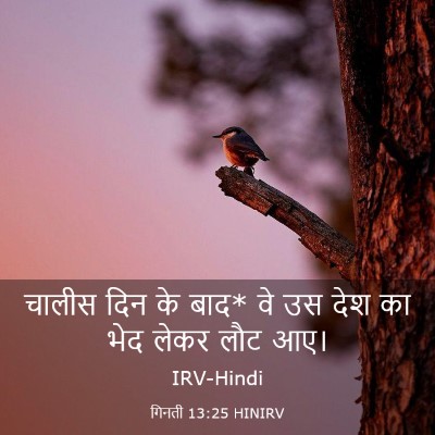 Picture 03 - गिनती 13:25 HINIRV - चालीस दिन के बाद* - Bible Verse Picture