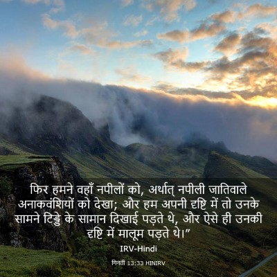 Picture 03 - गिनती 13:33 HINIRV - फिर हमने वहाँ - Bible Verse Picture