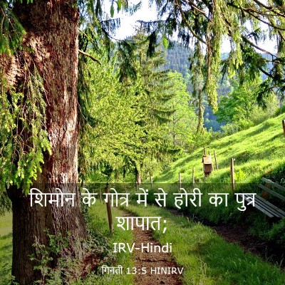 Picture 03 - गिनती 13:5 HINIRV - शिमोन के गोत्र में - Bible Verse Picture