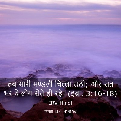 Picture 03 - गिनती 14:1 HINIRV - तब सारी मण्डली - Bible Verse Picture