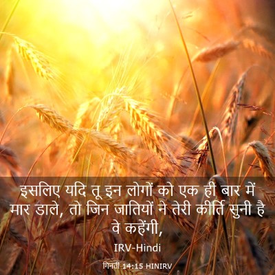 Picture 03 - गिनती 14:15 HINIRV - इसलिए यदि तू इन - Bible Verse Picture