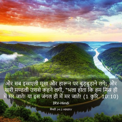 Picture 03 - गिनती 14:2 HINIRV - और सब इस्राएली - Bible Verse Picture
