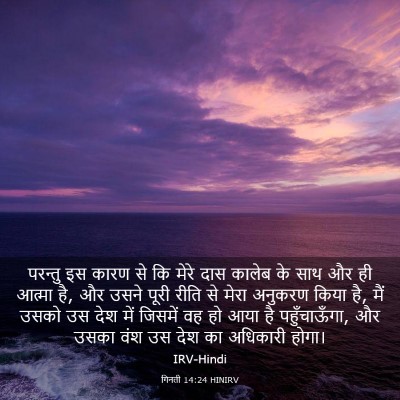 Picture 03 - गिनती 14:24 HINIRV - परन्तु इस कारण से - Bible Verse Picture