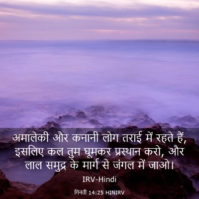 Picture 03 - गिनती 14:25 HINIRV - अमालेकी और कनानी - Bible Verse Picture