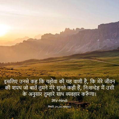 Picture 03 - गिनती 14:28 HINIRV - इसलिए उनसे कह कि - Bible Verse Picture