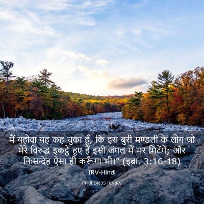 Picture 03 - गिनती 14:35 HINIRV - मैं यहोवा यह कह - Bible Verse Picture