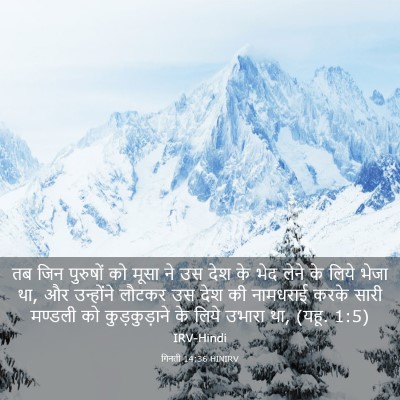 Picture 03 - गिनती 14:36 HINIRV - तब जिन पुरुषों को - Bible Verse Picture