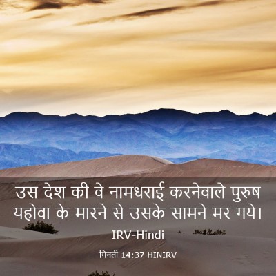 Picture 03 - गिनती 14:37 HINIRV - उस देश की वे - Bible Verse Picture